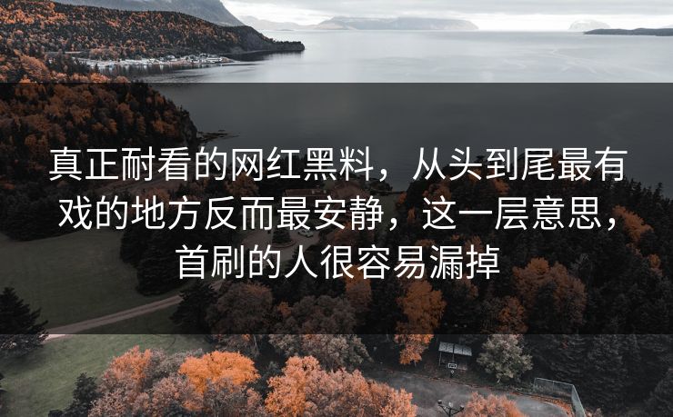 真正耐看的网红黑料，从头到尾最有戏的地方反而最安静，这一层意思，首刷的人很容易漏掉