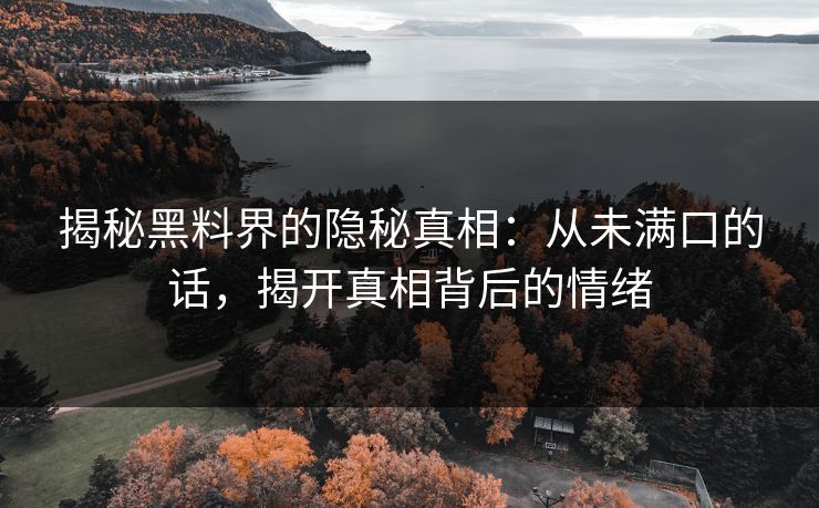 揭秘黑料界的隐秘真相：从未满口的话，揭开真相背后的情绪