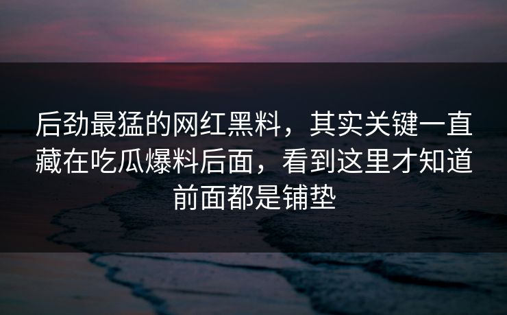 后劲最猛的网红黑料，其实关键一直藏在吃瓜爆料后面，看到这里才知道前面都是铺垫