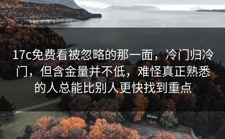 17c免费看被忽略的那一面，冷门归冷门，但含金量并不低，难怪真正熟悉的人总能比别人更快找到重点