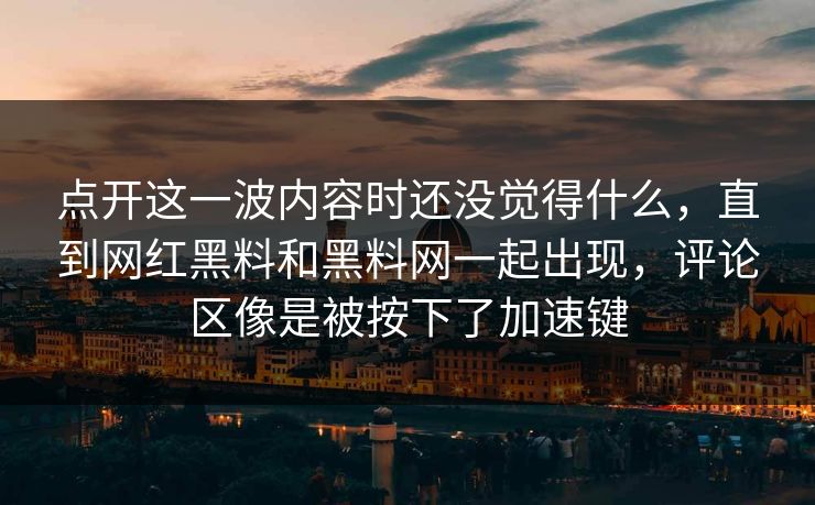 点开这一波内容时还没觉得什么，直到网红黑料和黑料网一起出现，评论区像是被按下了加速键