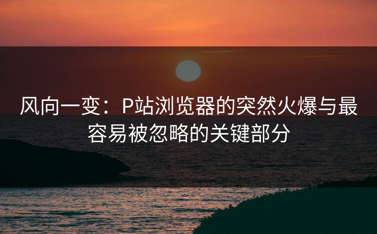 风向一变：P站浏览器的突然火爆与最容易被忽略的关键部分