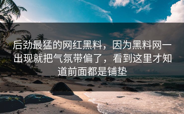 后劲最猛的网红黑料，因为黑料网一出现就把气氛带偏了，看到这里才知道前面都是铺垫