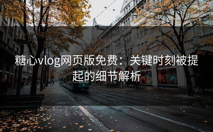 糖心vlog网页版免费：关键时刻被提起的细节解析