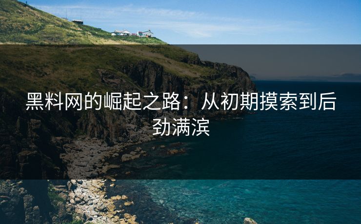 黑料网的崛起之路：从初期摸索到后劲满滨
